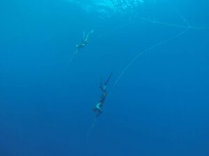 Freediving holiday in the Maldives