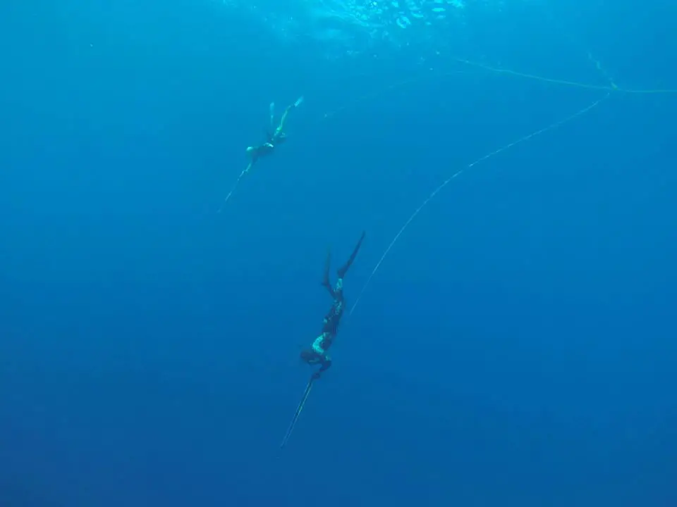 Freediving holiday in the Maldives