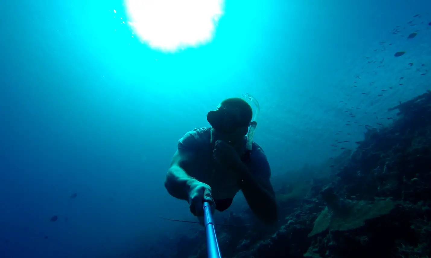 Freediving the Maldives on a budget