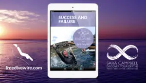 Win a free copy of Success and Failure by Sara Campbell