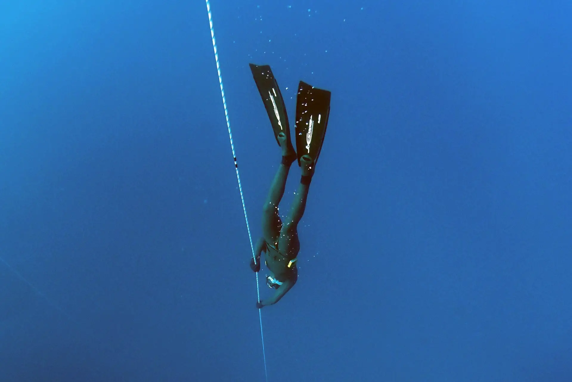 The surprising truth about your wetsuit, and staying warm while freediving