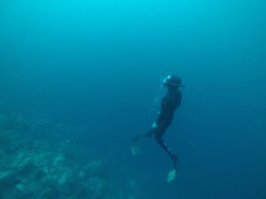 What blood lactate does in the body of a freediver