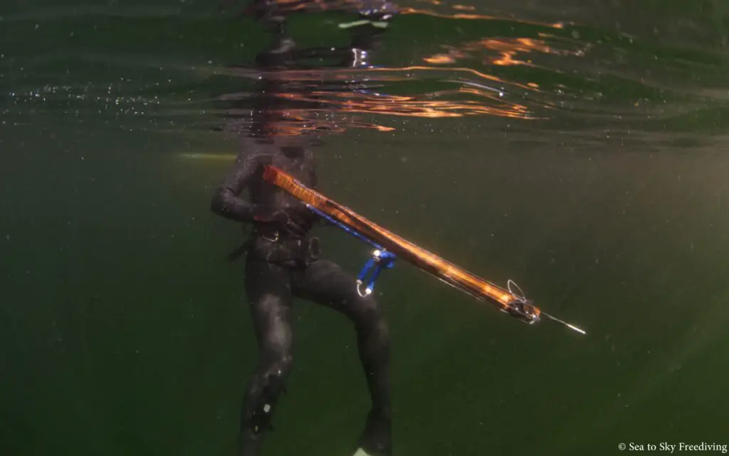 Sphyrna Speargun for Spearfishing